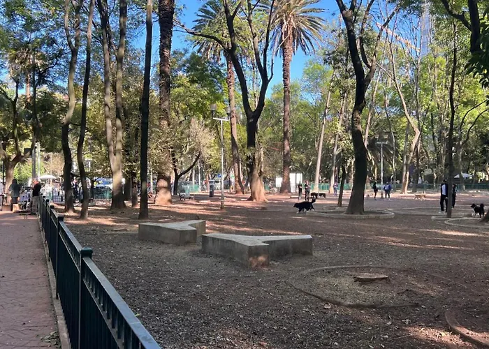 Condesa Campeche 8 Urban Elegance 2br 1ba With Large Living Areas Mexico City